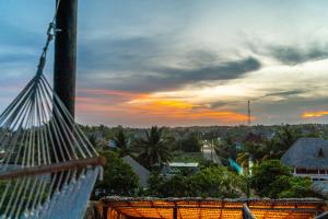 MANGOMIEL by Caravana