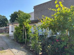 Ferienwohnung Zeplin, Terrasse, Grill
