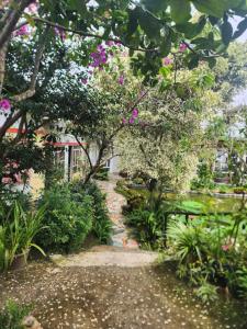 Homestay Guitar House