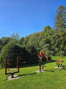 ZIELONA GOSPODA Choice