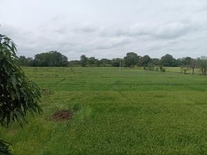 Princess Home stay sigiriya