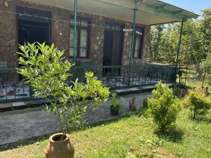 Naro's House - Ubytování bez kategorie ve městě Martvili