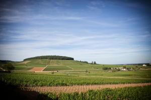 Maisons de vacances La Folie, Tour a Aloxe Corton : photos des chambres