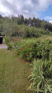 Vue Dégagée au calme