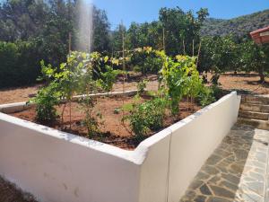 Xeno Bayview Apartment Salamina