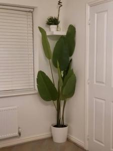 Home Like Yours In Grays, Essex