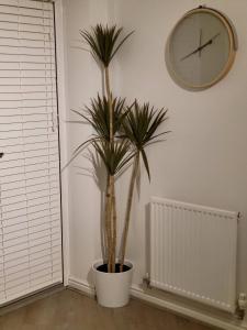 Home Like Yours In Grays, Essex