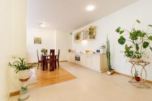 Central apartment with terrace