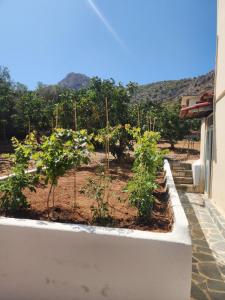 Xeno Bayview Penthouse Salamina