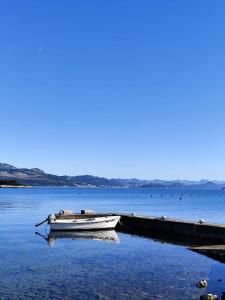 House Villa Zvonimir