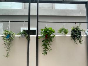 Lighting Villa OCP - Ocean Park Full tiện nghi View đẹp