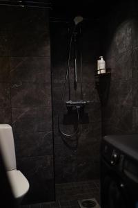 Charming wooden house apartment in Vaasa