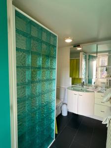 Appartements Duplex Van Gogh, Fraicheur turquoise et nature au Vaumurier : photos des chambres