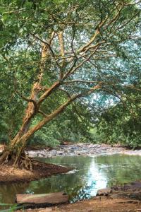 Sunwin River Cabana & Hotel