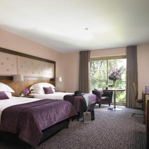 Dunboyne Castle Hotel & Spa