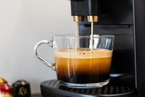 Calm Suite with Sauna and Free Garage - Heart of Lapland