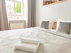 City heart, sunlit, free parking and bag storage