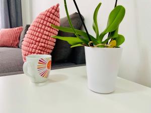 Comfy Flat at the Heart of Budapest