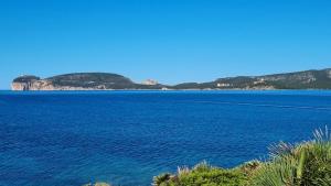Madeleine Apartment Alghero con garage privato gratuito img20