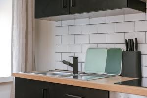 Bright Stylish Apartment Near Beach - Appa Ostend