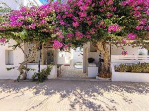 Thymariá - Chora view house