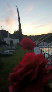 Ornella Beach Resort & Villas Epirus Greece