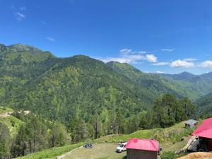 Jungle Woods Homestay