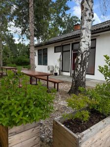 Diófa apartman - Bácsalmás