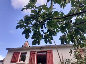 Sejours chez l'habitant Chambres Zola : photos des chambres