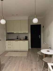 Nitsa Downtown Apartment