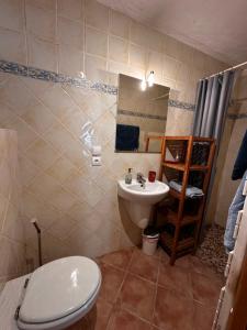 Studio île de la Barthelasse- Avignon