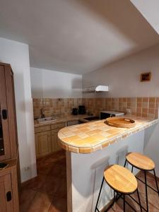 Studio île de la Barthelasse- Avignon