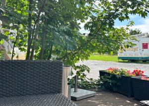 Reitsportzentrum Lichtenholz