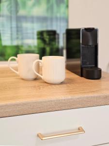 Urban Retreat Central Studio with Tâmpa View