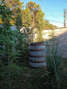 Боровата къща