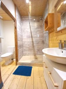 Maisons de vacances Gite du Grand Delmas : photos des chambres
