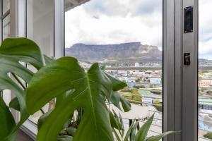 Stunning Views from Perspectives