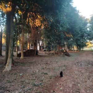 CHALET L&M Campestre