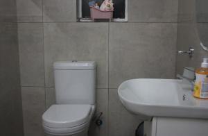 Pet-Friendly, Close to Airports, Golf & Schools