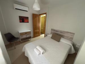 Duplex entre molinos Consuegra