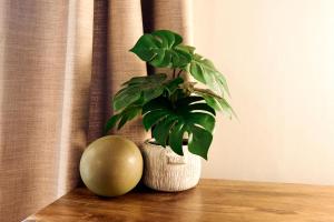 Lovely Small Studio in the Heart of Saint-Germain