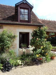 Maisons de vacances Gite du martin-pecheur : photos des chambres