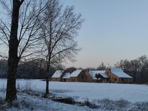Maisons de vacances Gite du martin-pecheur : photos des chambres