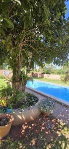 Quinta Las Marias Capiata