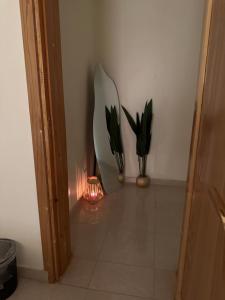 استراحة شاطي النخيل مطله على البحربدون مسبح