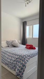 Coral Bliss Corralejo by Sea You There Fuerteventura