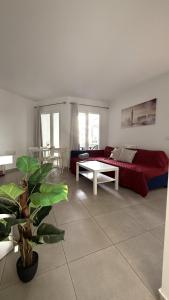 Coral Bliss Corralejo by Sea You There Fuerteventura