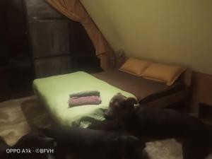 Five Queens Studio Apartment