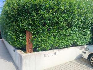 Guest room with private shower and toilet near Salzburg City