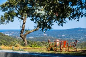 Villas Mas provencal avec piscine chauffee, tennis, petanque, vue mer, 20 min St Tropez : photos des chambres